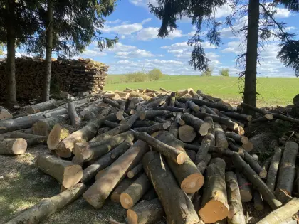 Buchenbrennholz
