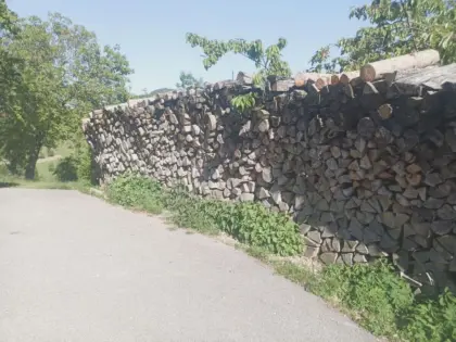 Brennholz