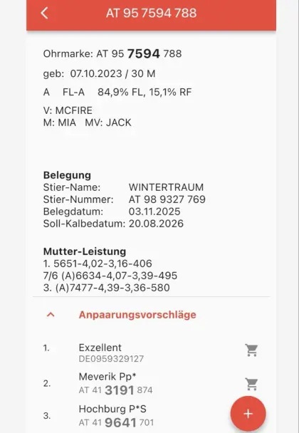 Kalbinnen