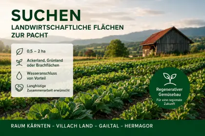 Langfristige Pachtfläche für Gemüsebau gesucht