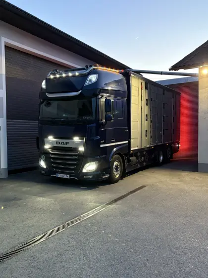 Biete Ferkeltransporte