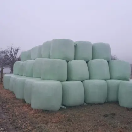 Luzerne-Silage-Ballen