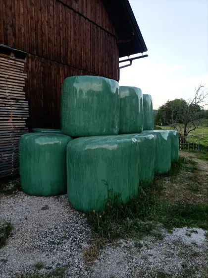 Bio Silageballen