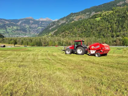 Suche Heuballen aus Ernte 2026