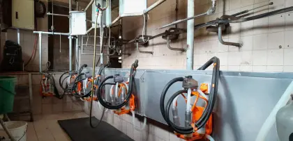 Melkstand, Vakuumpumpe, Waschautomat, Tank mit Kühlung