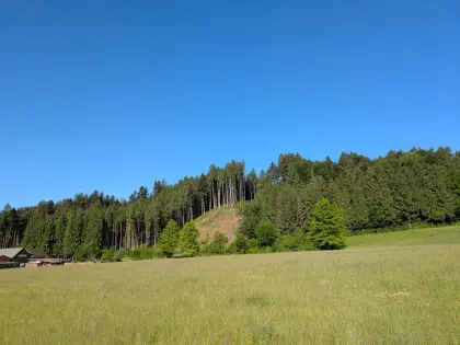 Einstellplätze Pferde