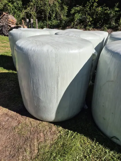 Maisballen