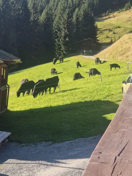 Landwirtschaft 45 ha und Gastronomie