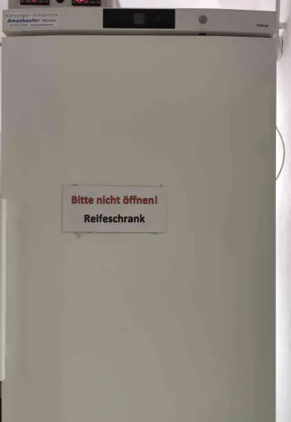 Reifeschrank für Käse AMA R663W