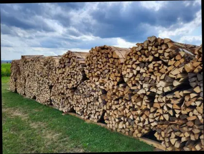 Brennholz