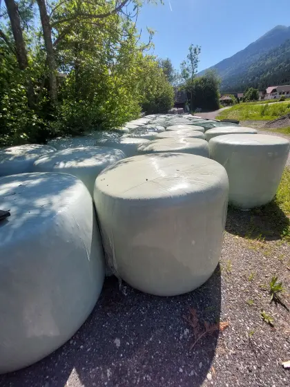 Maisballen