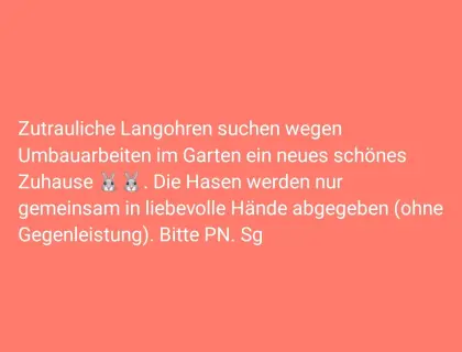 Hasen