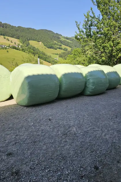 Siloballen von Biowiese 2026