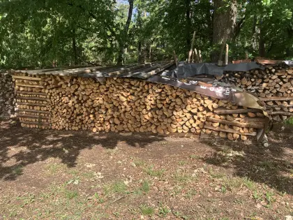 Brennholz