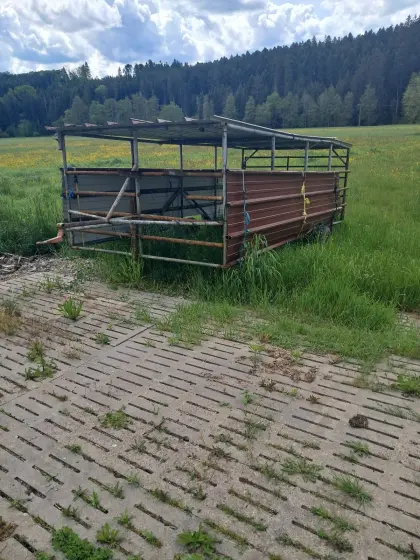 Rindertreibwagen, Viehtreibewagen