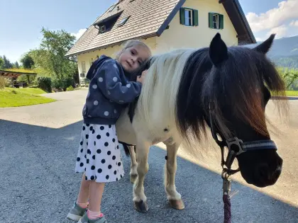 Prachtvolle Minishetty-Zuchtstute mit Hengstfohlen bei Fuß