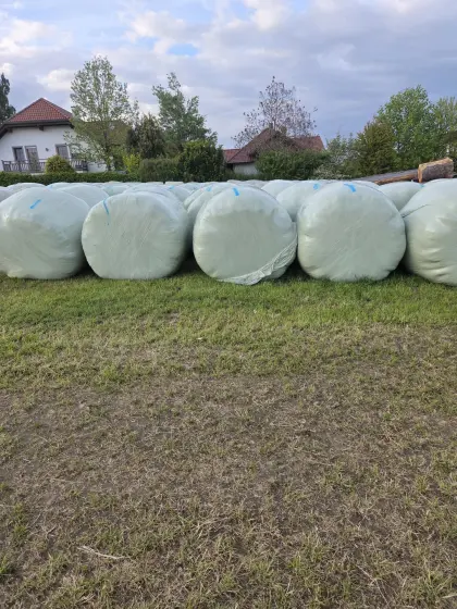 Silageballen