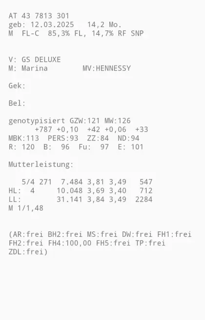 Bio-Zuchtstier