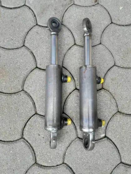 Rasant Hydraulikzylinder dw, 2 Stk., neu