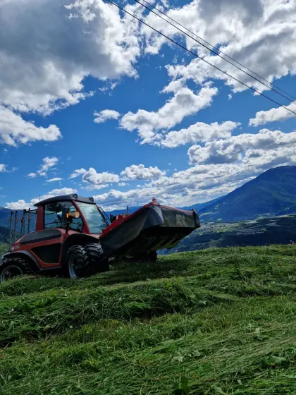 Fella Ramos 260 FK