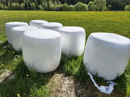 BIO Maissiloballen Überbestand
