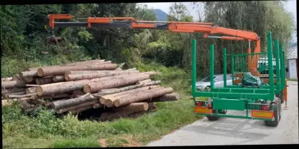 Rückewagen, Krananhänger