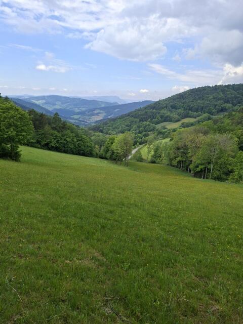 Wiesen zu pachten gesucht