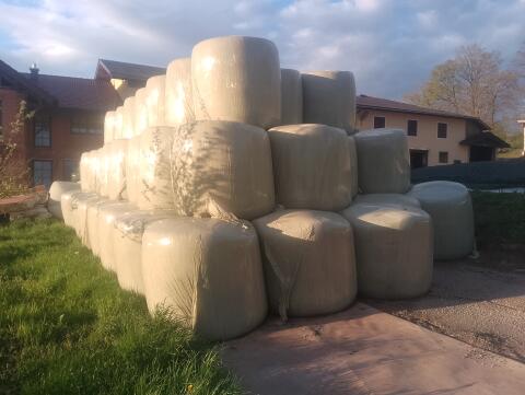 Maissilageballen