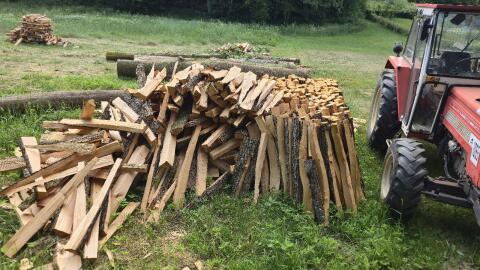 Brennholz
