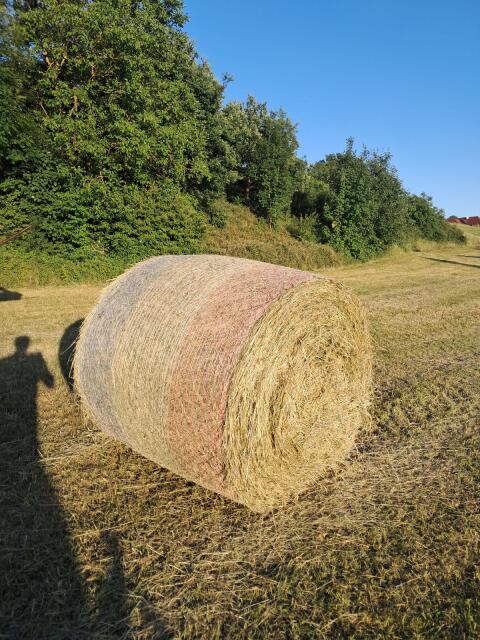 Heuballen 1. Schnitt 2026, Restbestände 2025