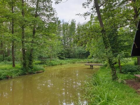 Idyllische Anlage mit 2 Fischteichen zu verpachten