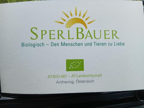 Bio-Legehennen Lohman Braun