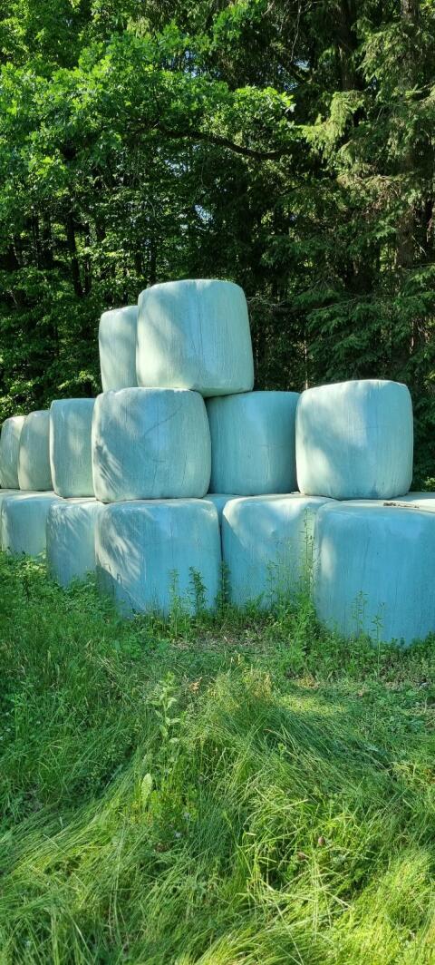 Siloballen 2025 Silage
