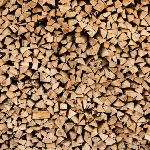Brennholz Fichte, trocken, Preis/RM