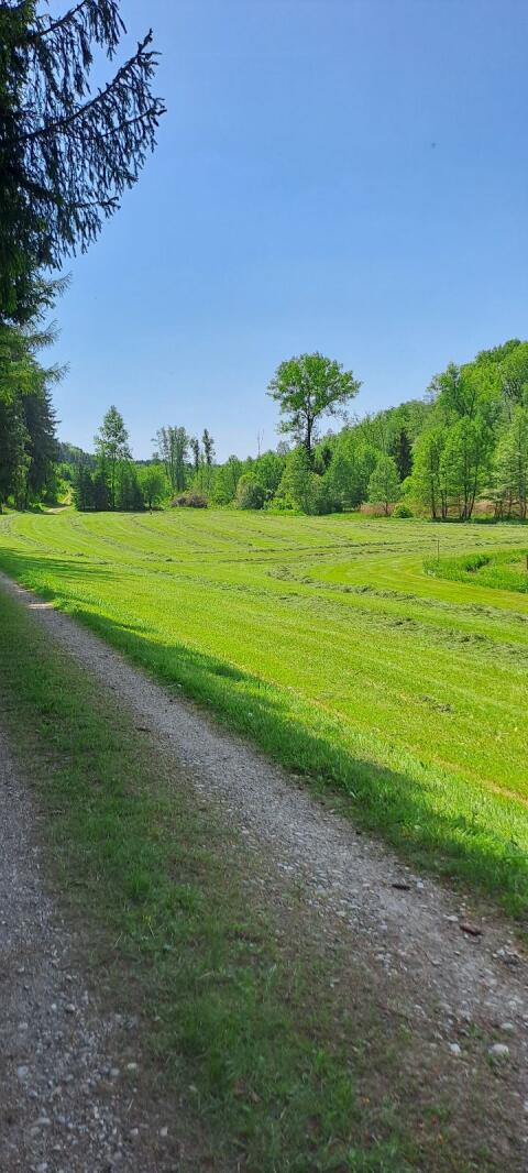 Suche HD-Ballenpresse, Hochdruckballenpresse, Welger, Claas