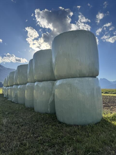 Bio Silageballen