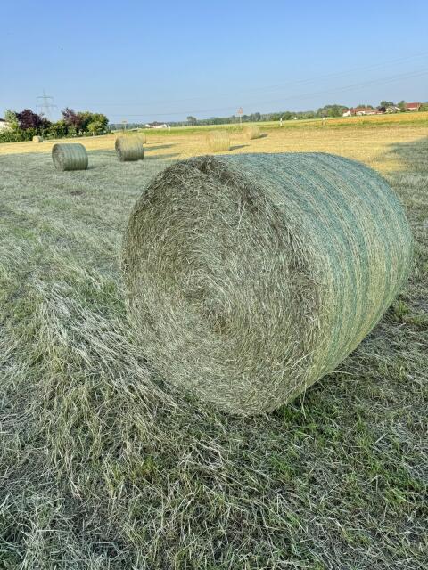 Heu Rundballen Stroh Heuballen Pferdeheu Futterheu Bioheu