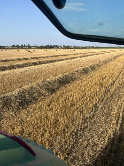 Suche Stroh ab Feld, Ernte 2026