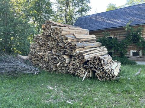 Buchenschwartling