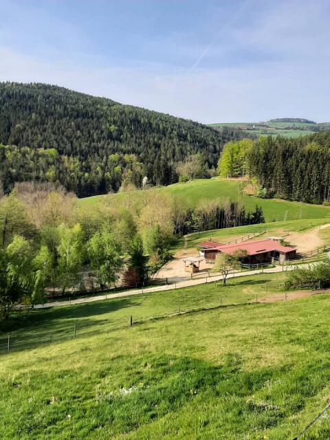 Pferdeeinstellplatz