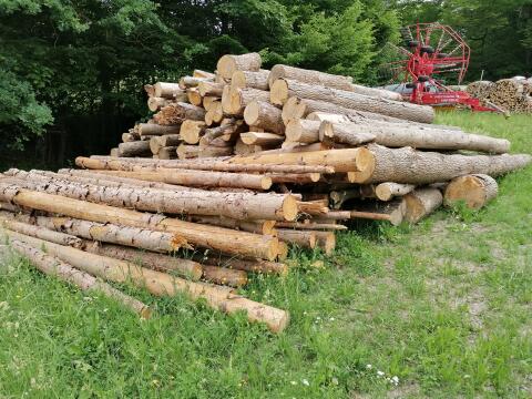 Hartholz Langholz, Brennholz