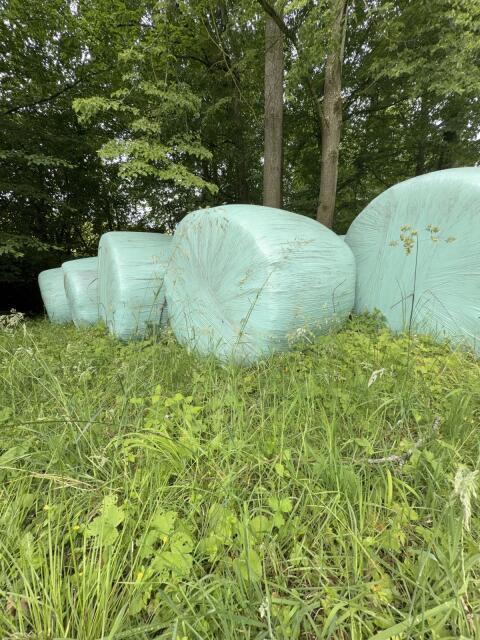 Siloballen aus 2025