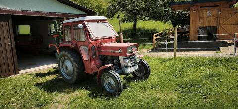 Massey Ferguson 135