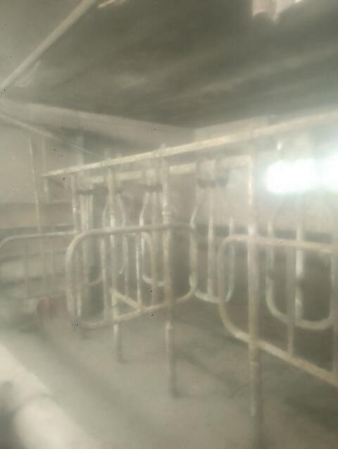 Melkstand 6er Side by Side, Milchtank, Kraftfutterstation