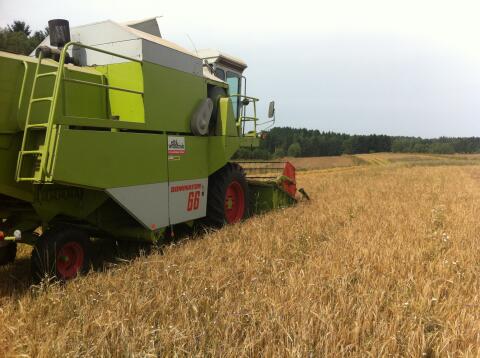 Mähdrescher Claas Dominator 66