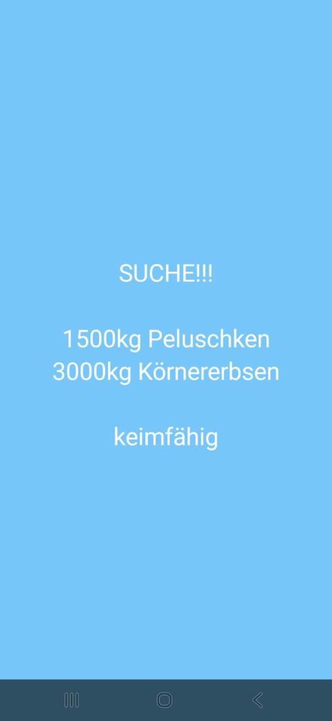Suche Erbsen
