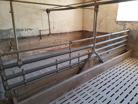 Schweineaufstallung für Mast und Spaltenböden