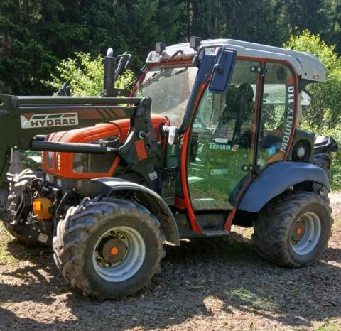 Reform Mounty 110V