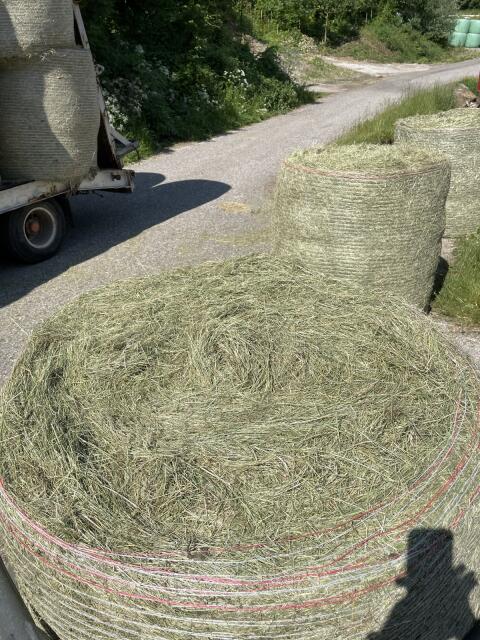 Heu-Rundballen