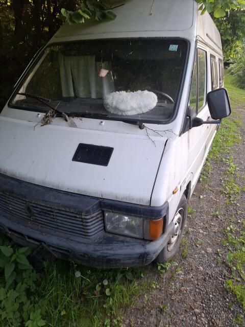 Renault Wohnmobil